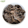 Fujian Organic Old White Tea 15 Years Old White Tea